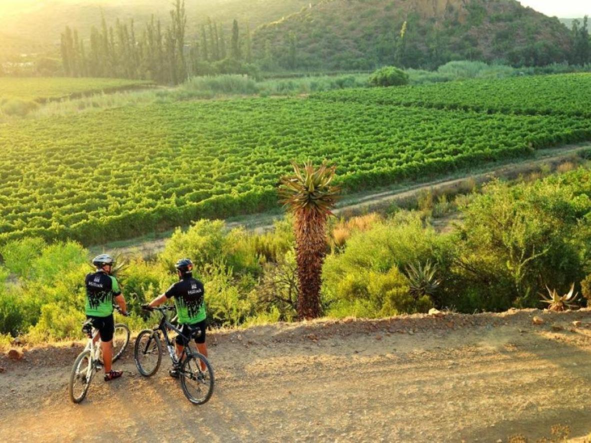 Mymering Wine & Guest Estate Ladismith Ngoại thất bức ảnh